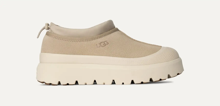 tasman weather hybrid