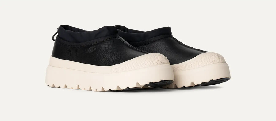 tasman weather hybrid