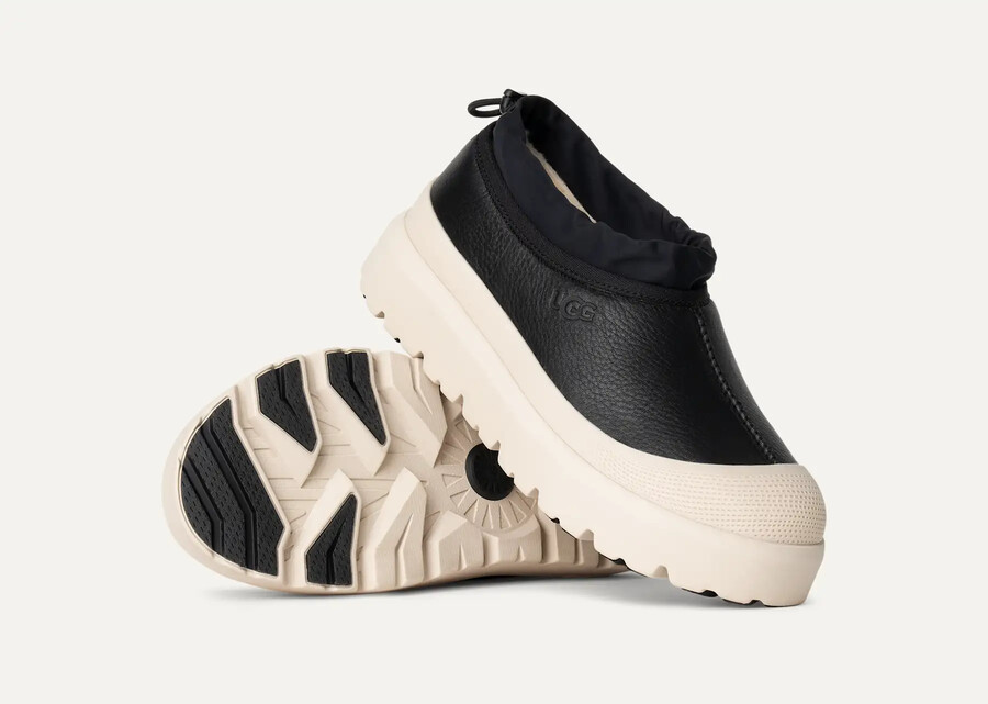 tasman weather hybrid