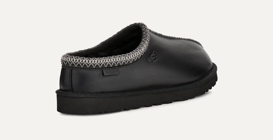 tasman leather regen