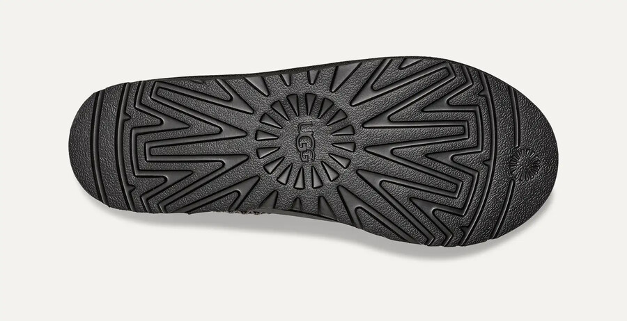 tasman leather regen