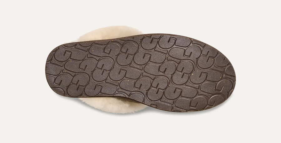 scuffette ii